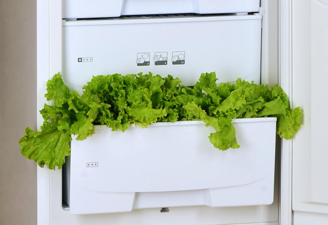 Холодильник POZIS RK-102 A рубин