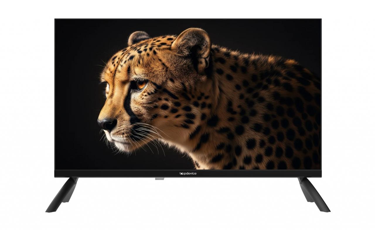 LED-телевизор Topdevice TDWC24BH2210I 24" черный