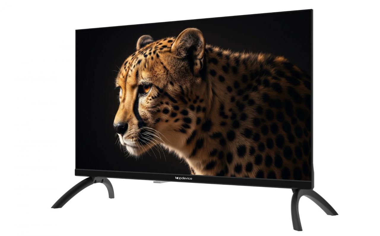 LED-телевизор Topdevice TDWC24BH2210I 24" черный