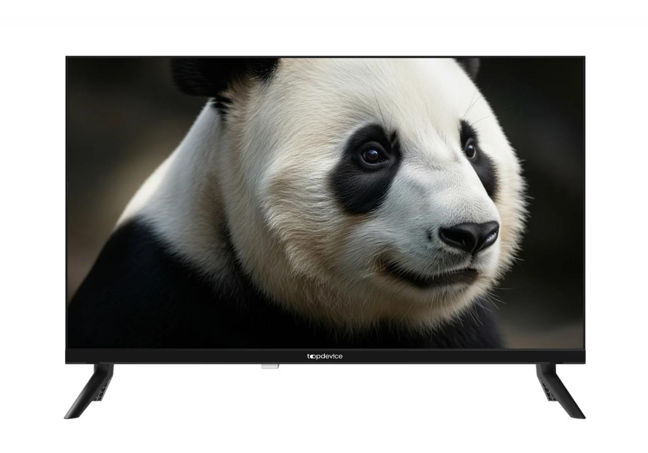 LED-телевизор Topdevice TDWC24BH4260V 24" черный