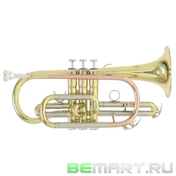 Корнет Roy Benson СR-202